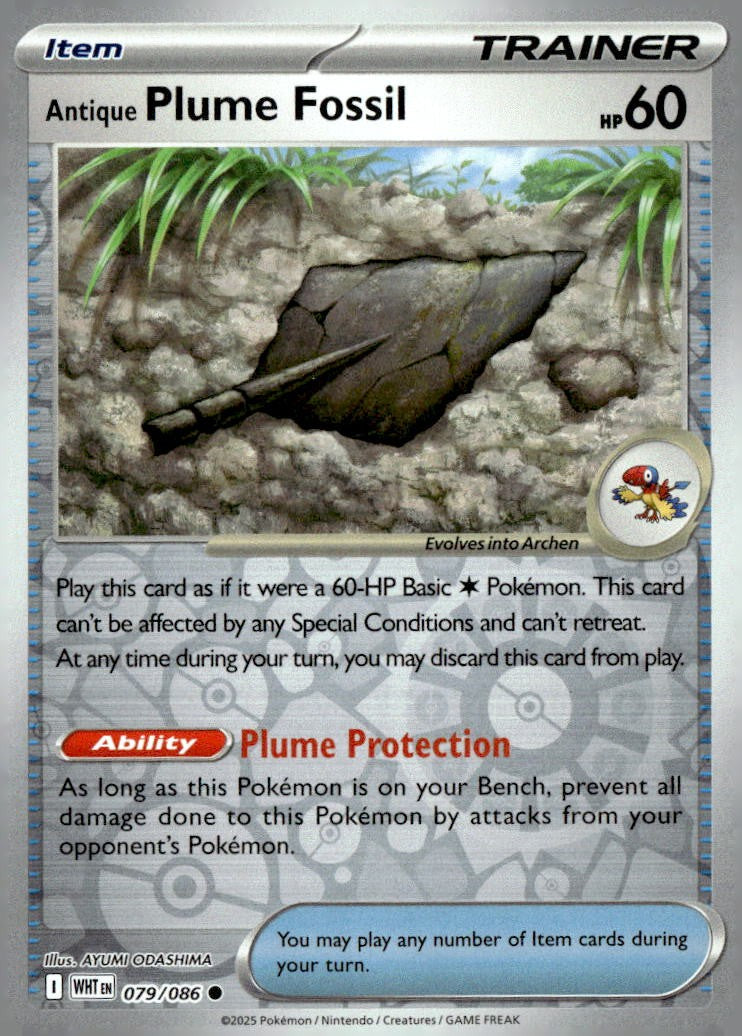 Antique Plume Fossil