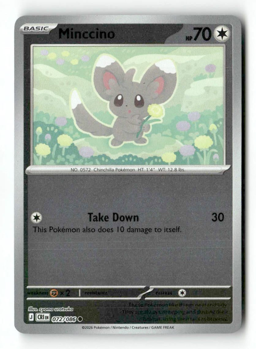Minccino